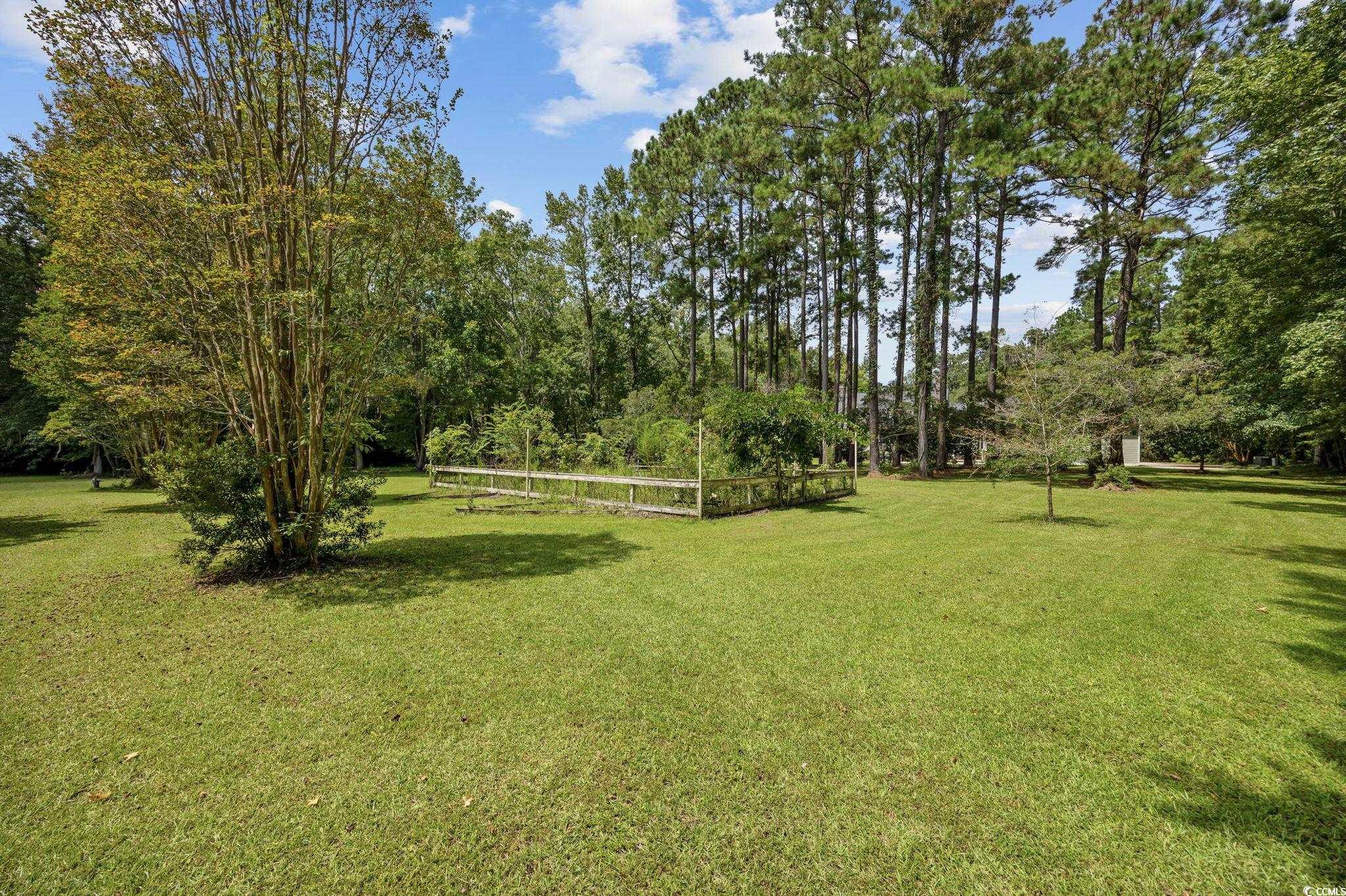 3750 Highway 813 Conway Sc 29526 Conway, SC 29526 - Photo 33 of 40 View of yard