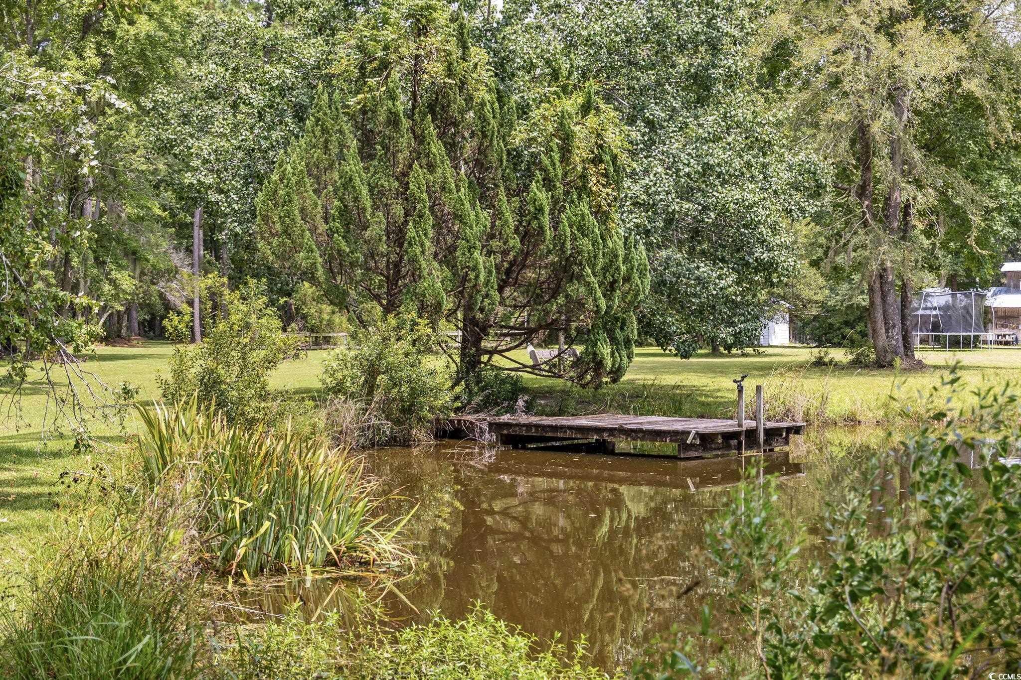3750 Highway 813 Conway Sc 29526 Conway, SC 29526 - Photo 35 of 40 View of home's community with a water view and a lawn