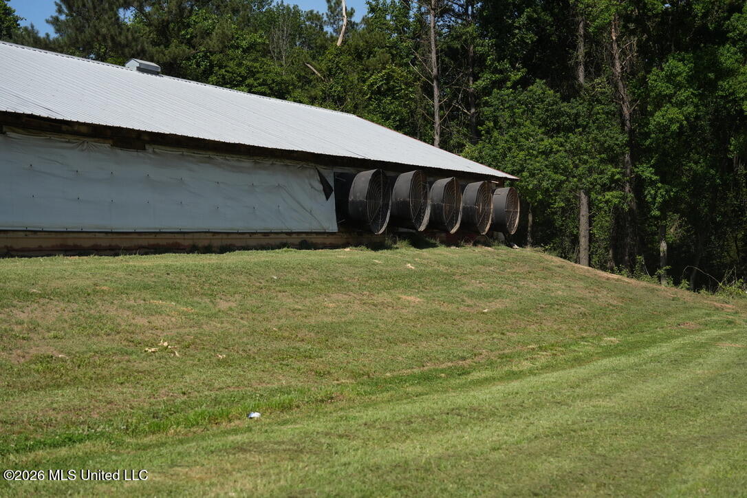 Smithtown Chicora Road State Line, MS 39362 - Photo 22 of 38 5FDA82F4-5489-430C-8E17-F5B0CE28ECBF_1_1