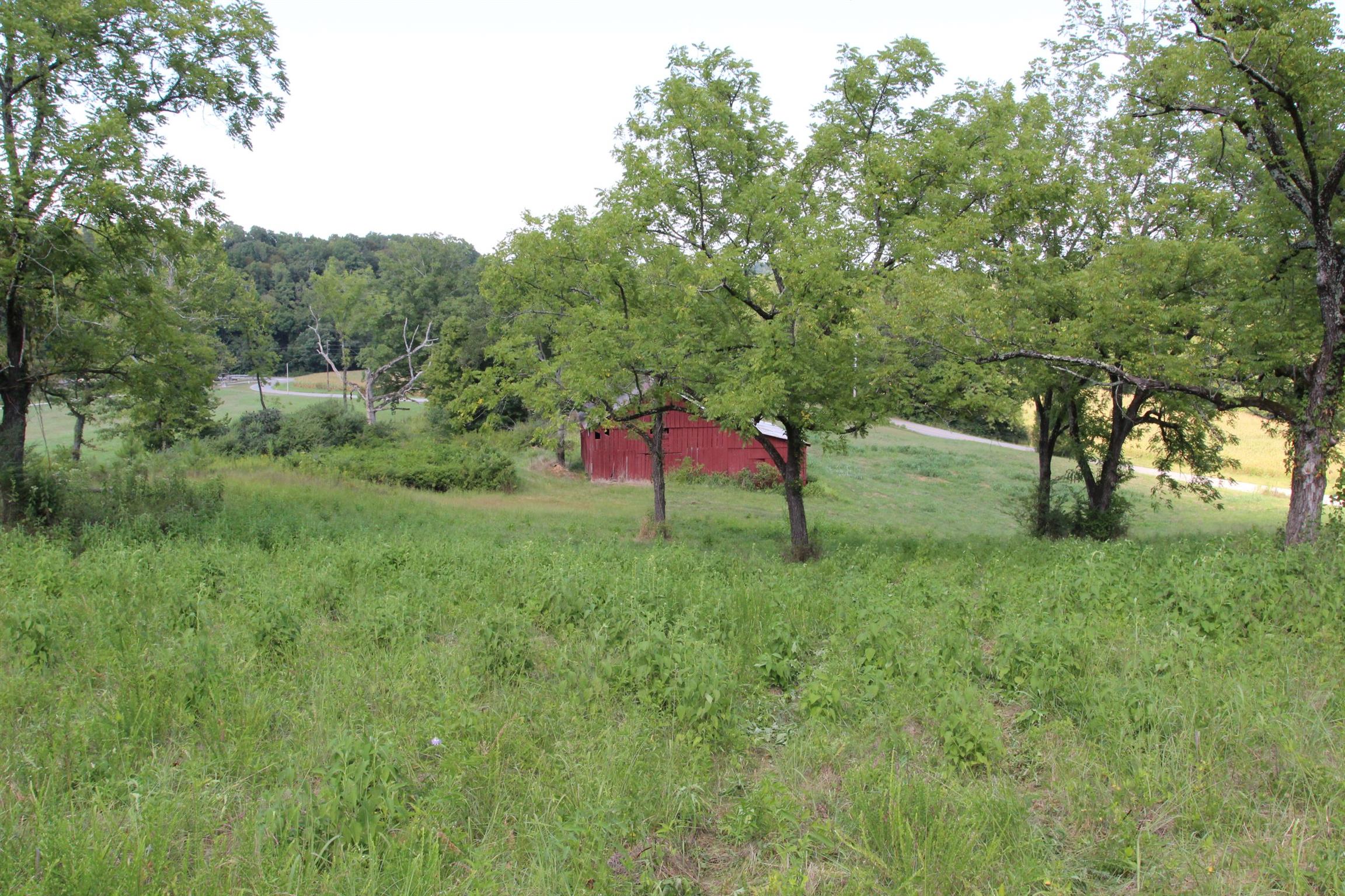 224 Taylor Chapel Road Dover, TN 37058 - Photo 17 of 27 Gallery Image 17
