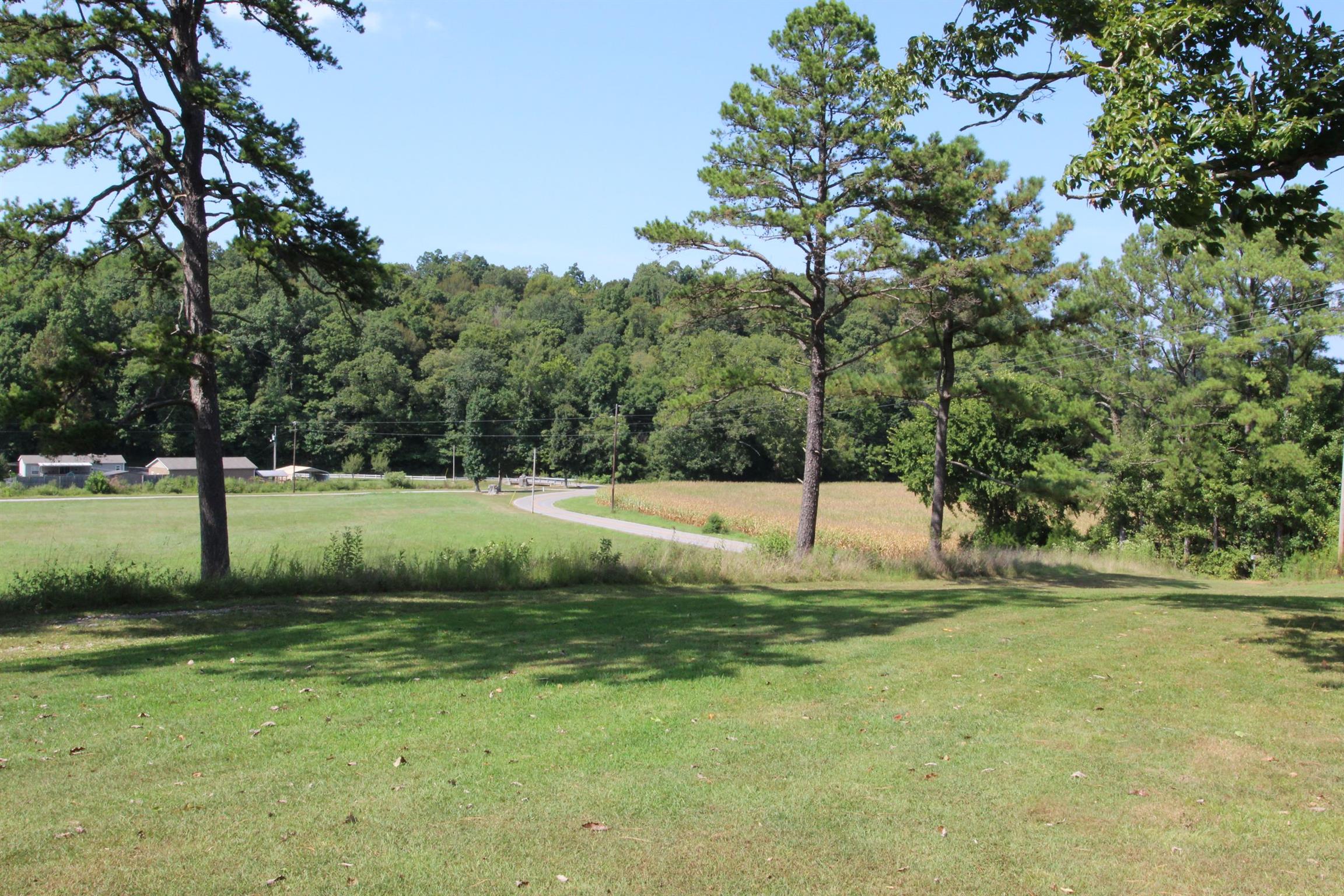 224 Taylor Chapel Road Dover, TN 37058 - Photo 3 of 27 Gallery Image 3
