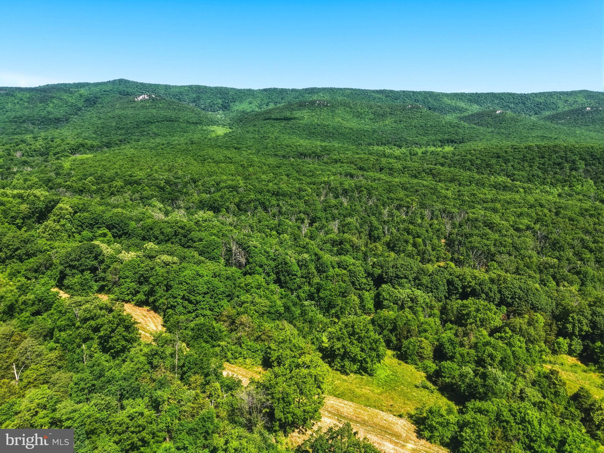 1639 Sugar Hill Road Maurertown, VA 22644 - Photo 7 of 62
