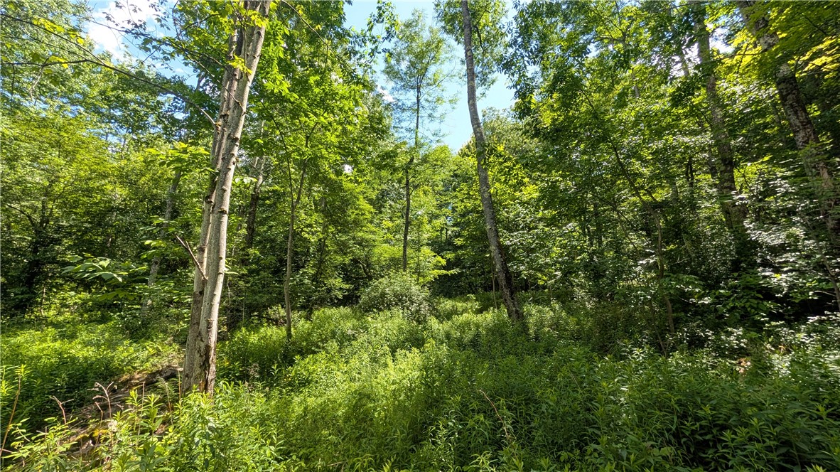 201 Sunrise Mountain Road Kortright, NY 13739 - Photo 41 of 49