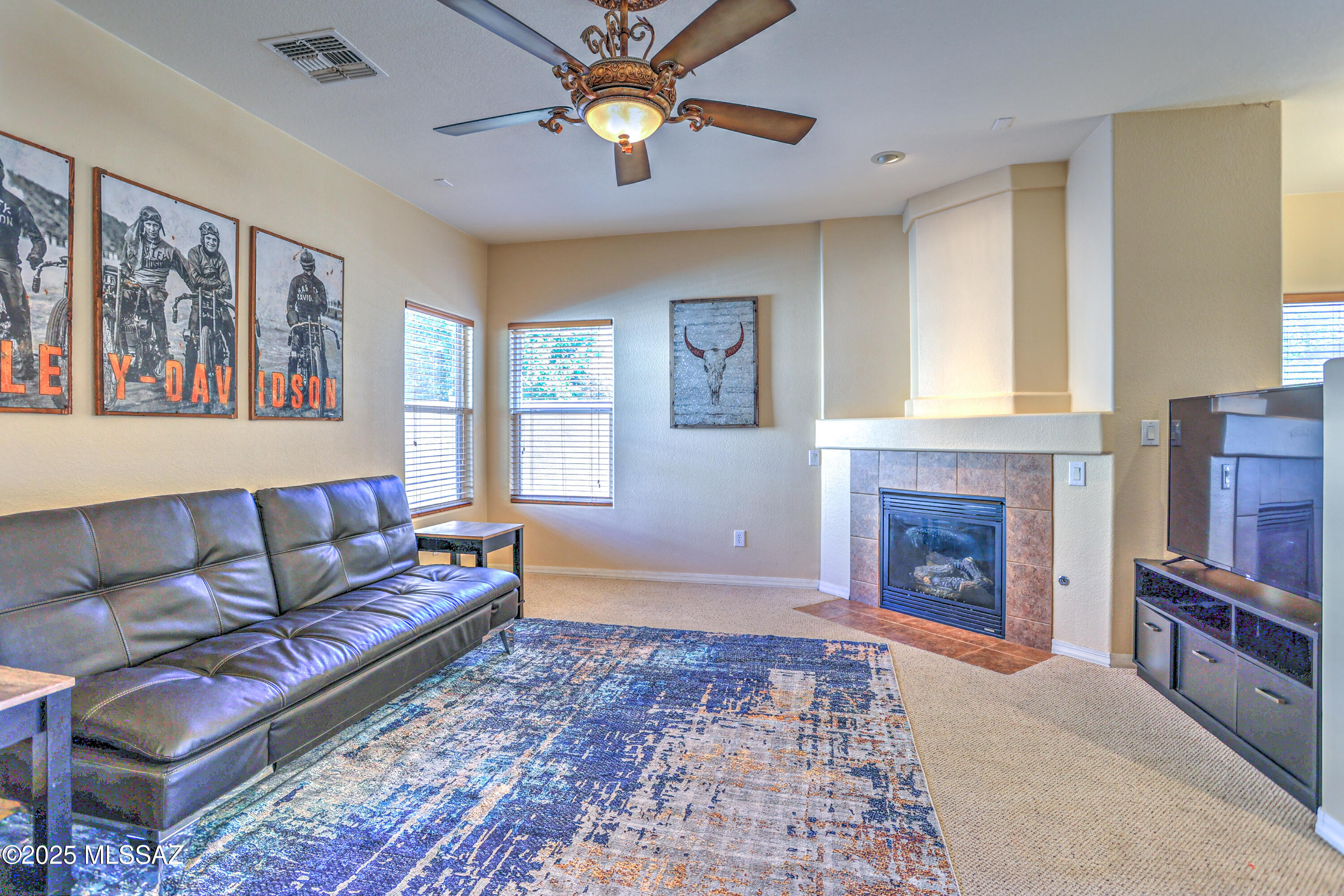 3551 East Mecate Road Tucson, AZ 85739 - Photo 9 of 49 Family Room