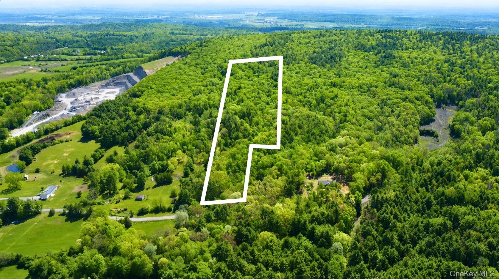 Tbd Bill Matter Road Climax, NY 12042 - Photo 2 of 19 a view of a lush green forest