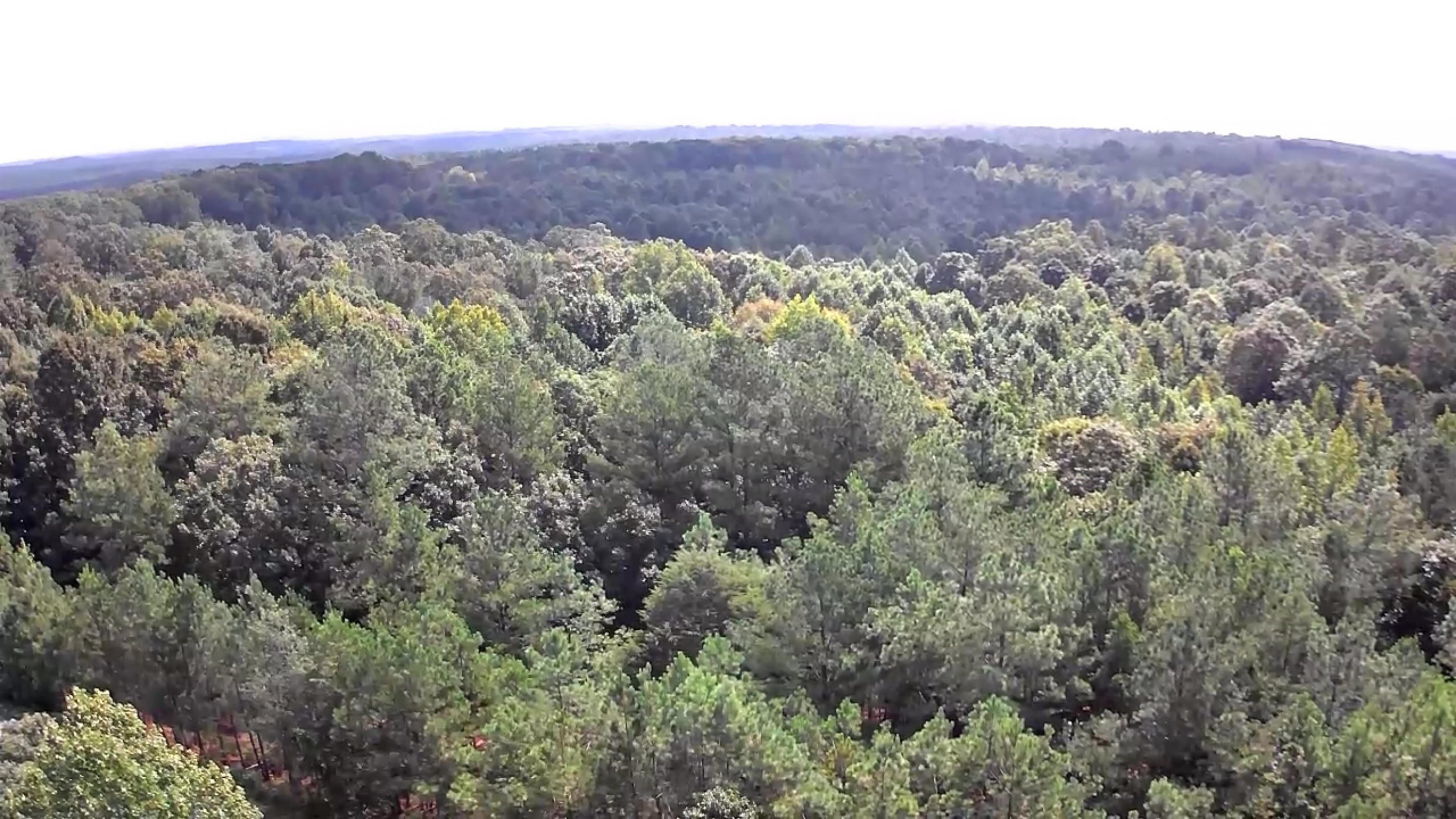 0 Sand Mt Road Enville, TN 38332 - Photo 2 of 7 an aerial view of residential house and green space
