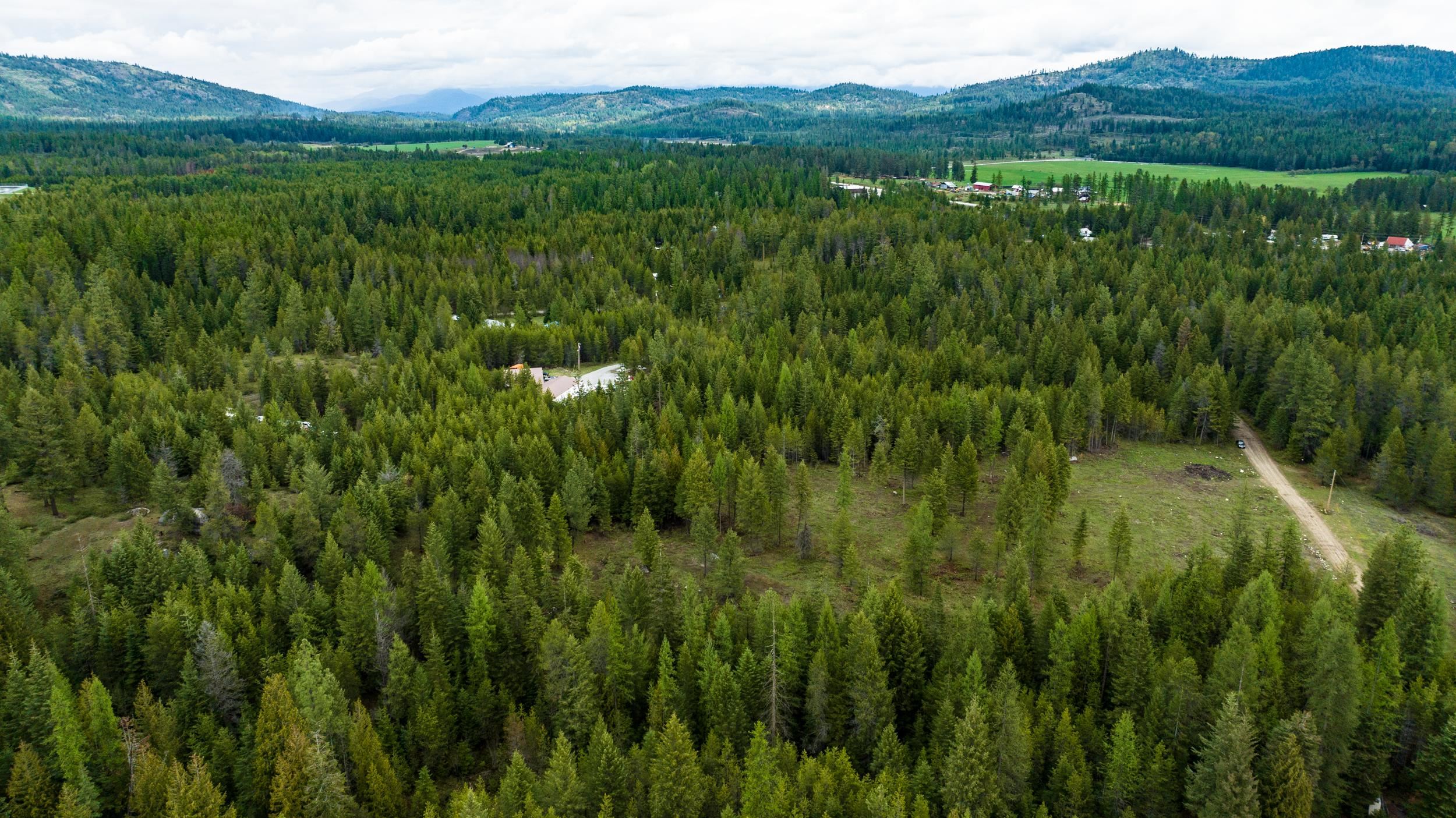 142 Rider Road Newport, WA 99156 - Photo 2 of 2 Gallery Image 2