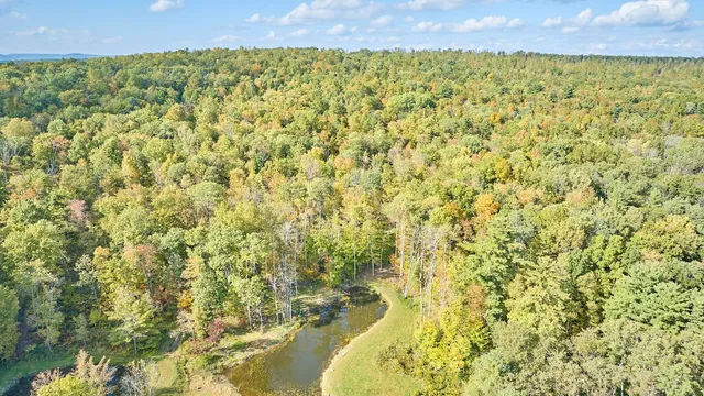 $474,000 | 204 Candor Hill Road, Candor, NY 13743