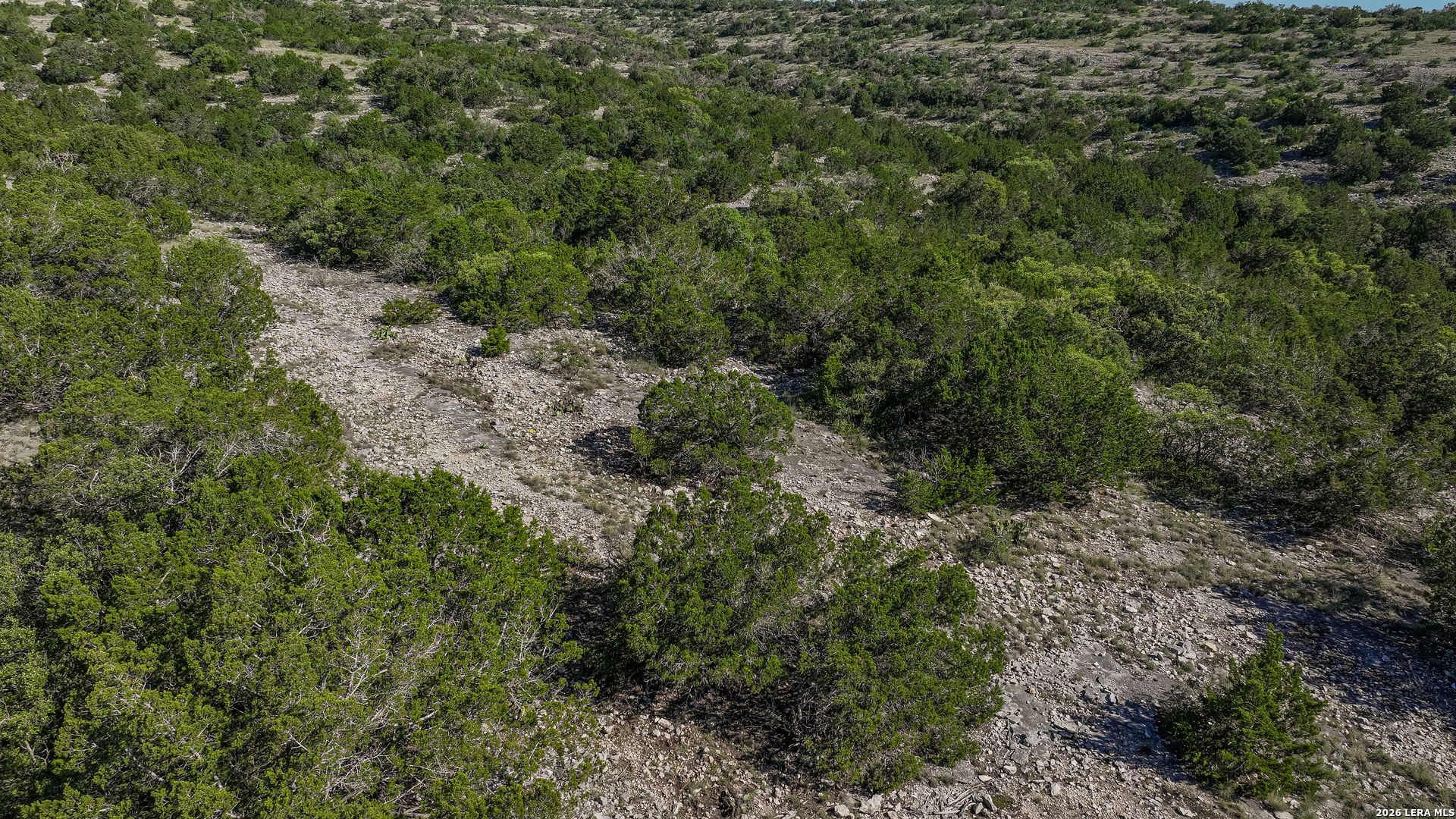 0 Deer Canyons Ranch Rocksprings, TX 78880 - Photo 3 of 39