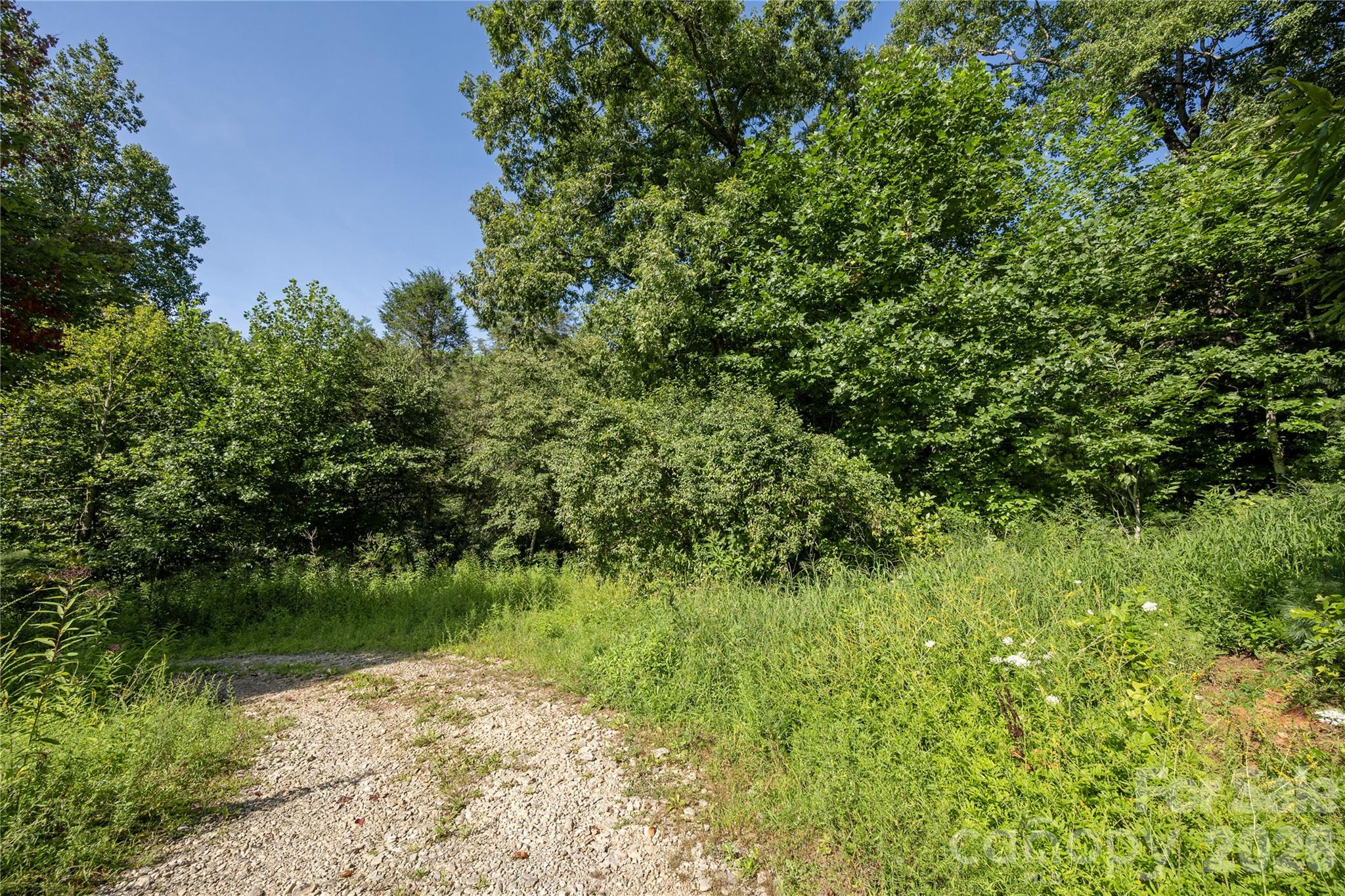 Tbd Whitewater Road Sapphire, NC 28774 - Photo 11 of 12 Gallery Image 11
