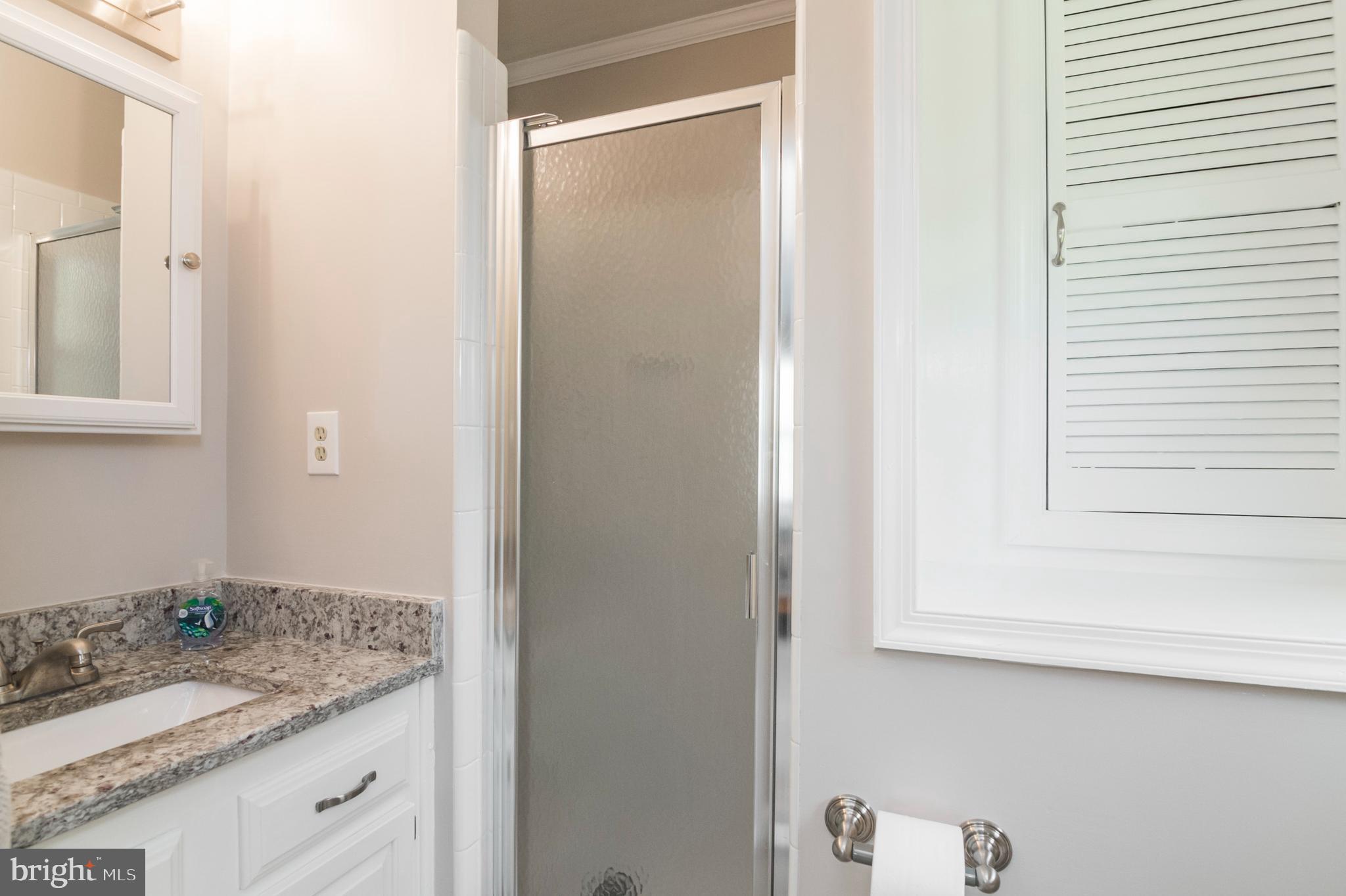 29020 Ridge Road Mount Airy, MD 21771 - Photo 18 of 36 Primary On Suite Full Bath