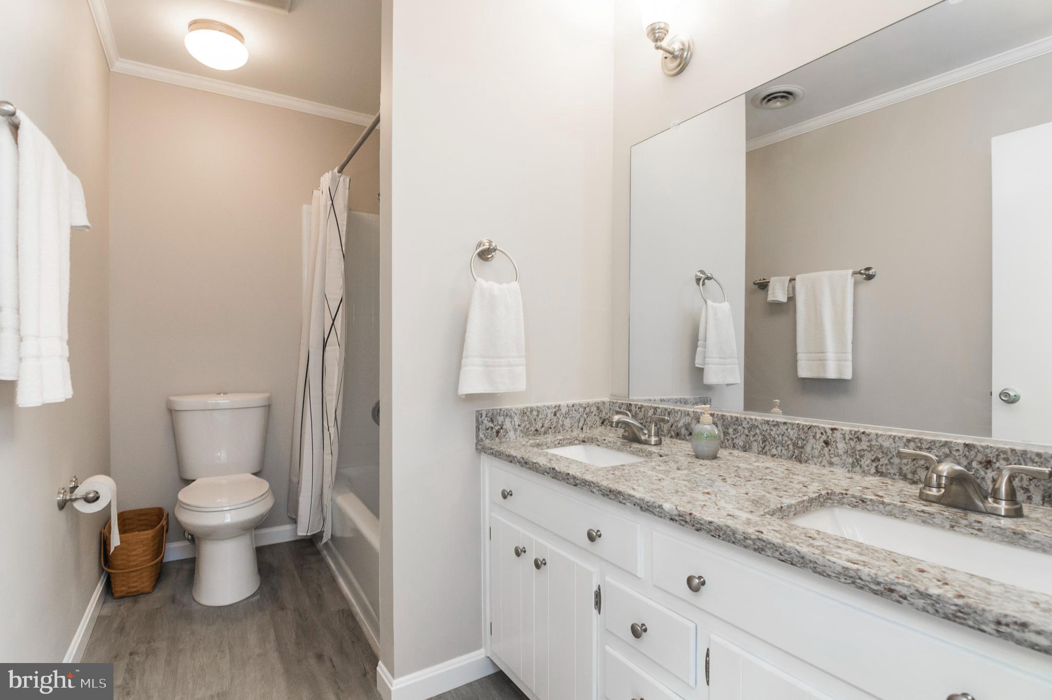 29020 Ridge Road Mount Airy, MD 21771 - Photo 21 of 36 Full Bath
