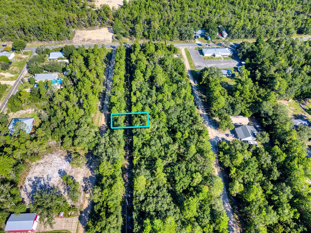 143 Iowa Street Carrabelle, FL 32322 - Photo 3 of 11