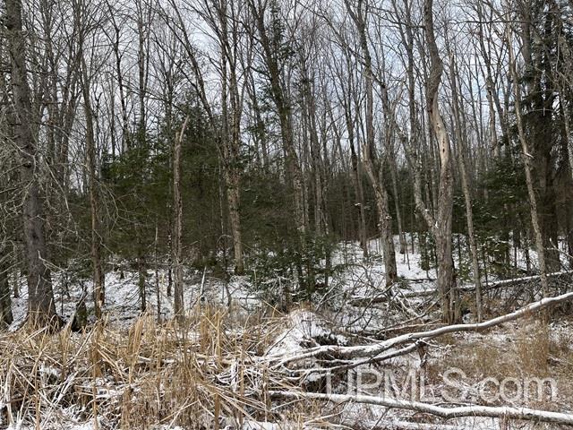 545 South Rd Skandia Mi 49885 Road Skandia, MI 49885 - Photo 31 of 38
