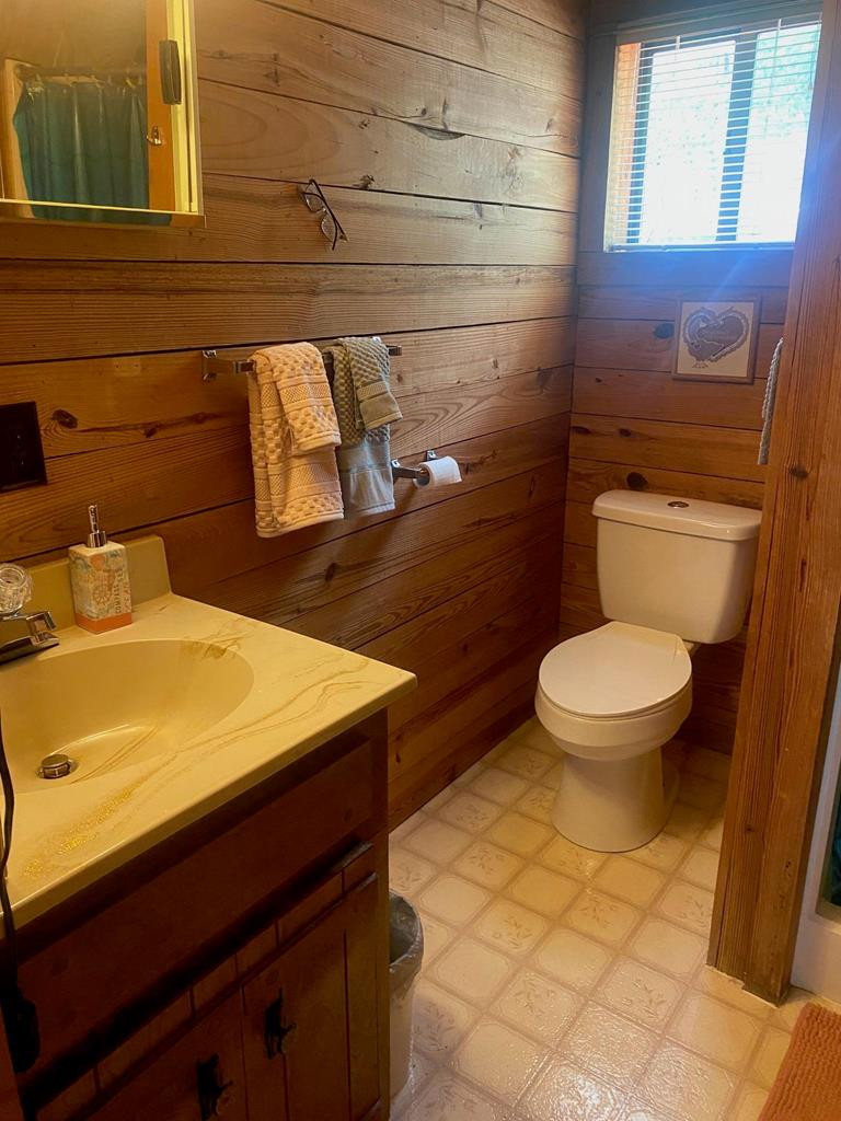 414 Laurel Cove Road Murphy, NC 28906 - Photo 6 of 12 Gallery Image 6