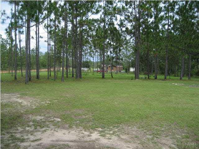 6990 Timber Crest Road Milton, FL 32583 - Photo 11 of 16 Gallery Image 11