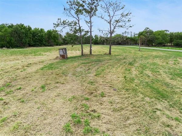 a view of outdoor space with garden and trees