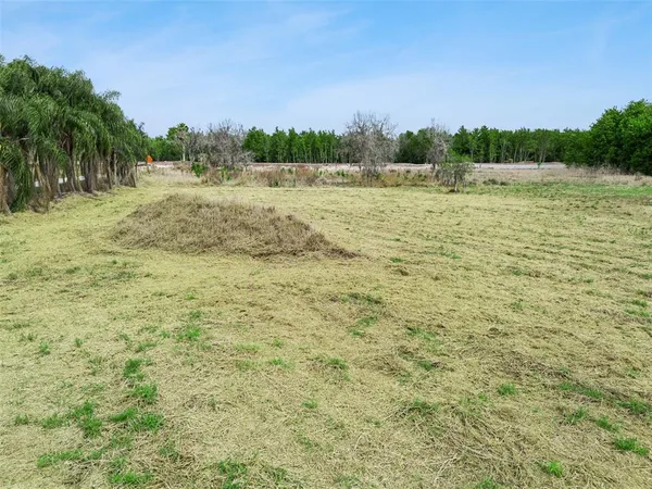 a view of a field with trees in the background