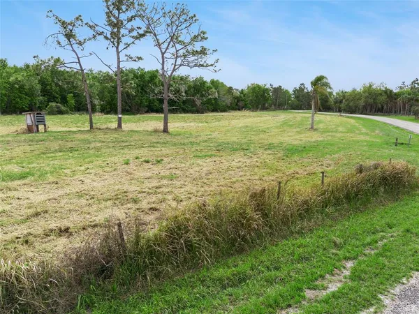 a view of outdoor space with deck and trees