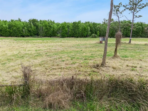 a view of a field with trees in the background