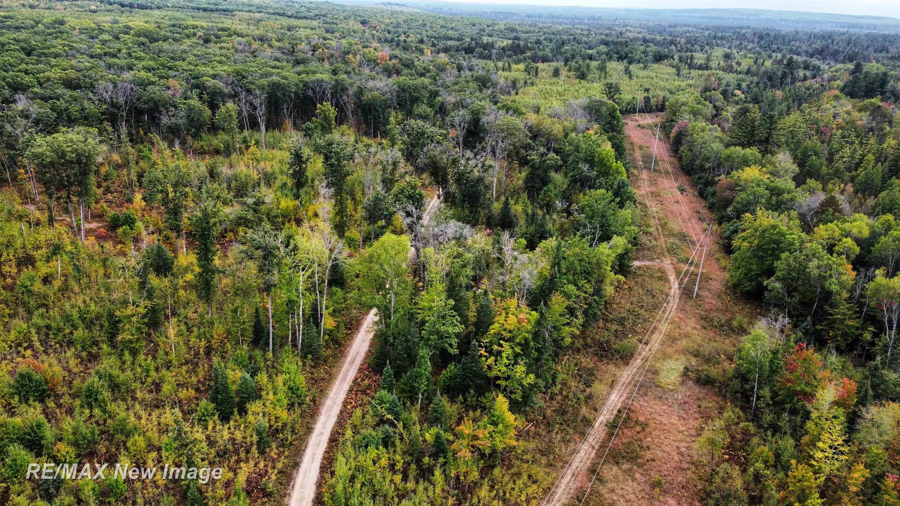 Maybee Road West Branch, MI 48661 - Photo 24 of 32 Gallery Image 24
