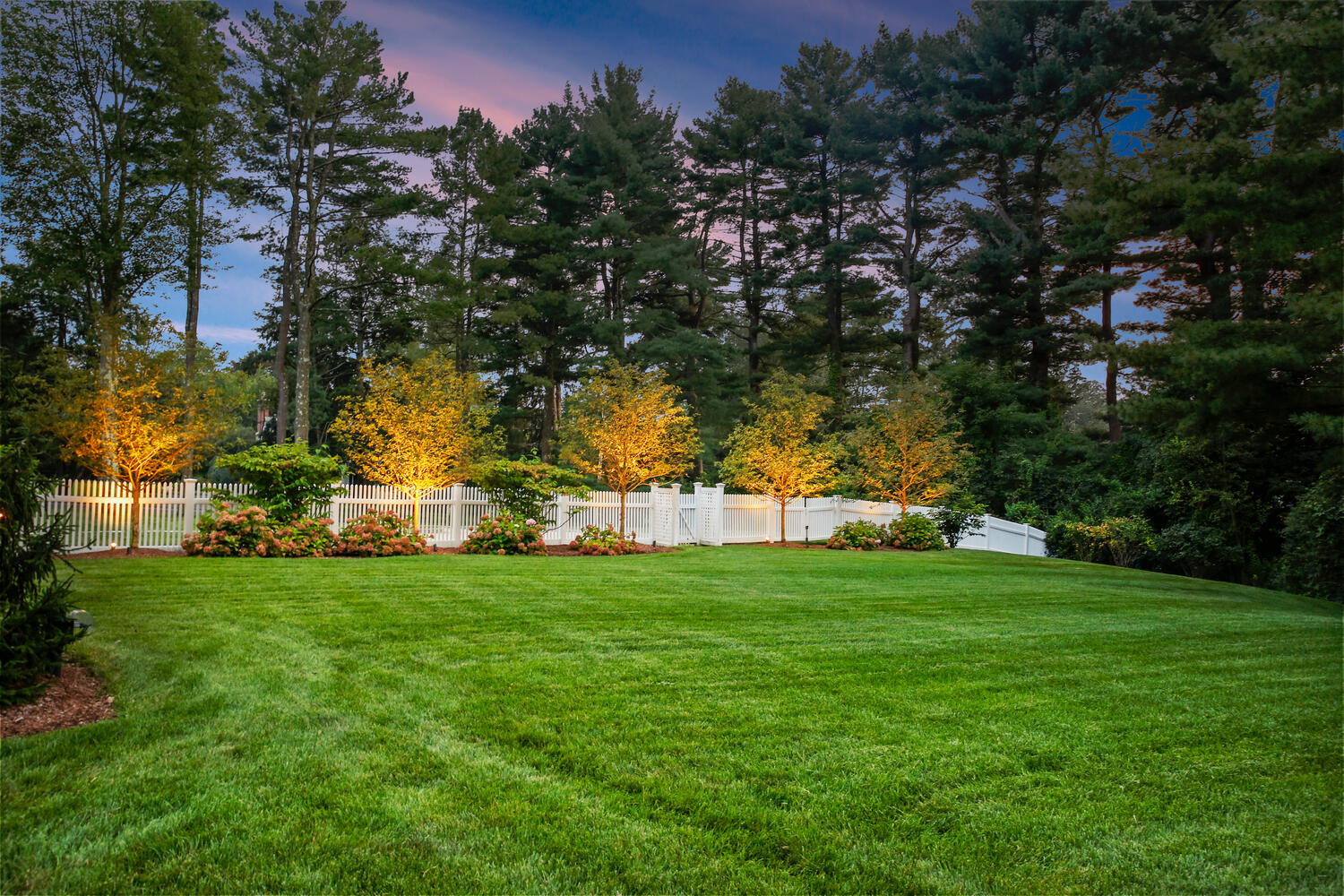 3 Half Mile Road Darien, CT 06820 - Photo 9 of 49 a view of a trees with a big yard