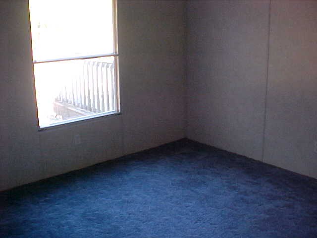 3017 Hall Road Conway, SC 29526 - Photo 4 of 8 Gallery Image 4