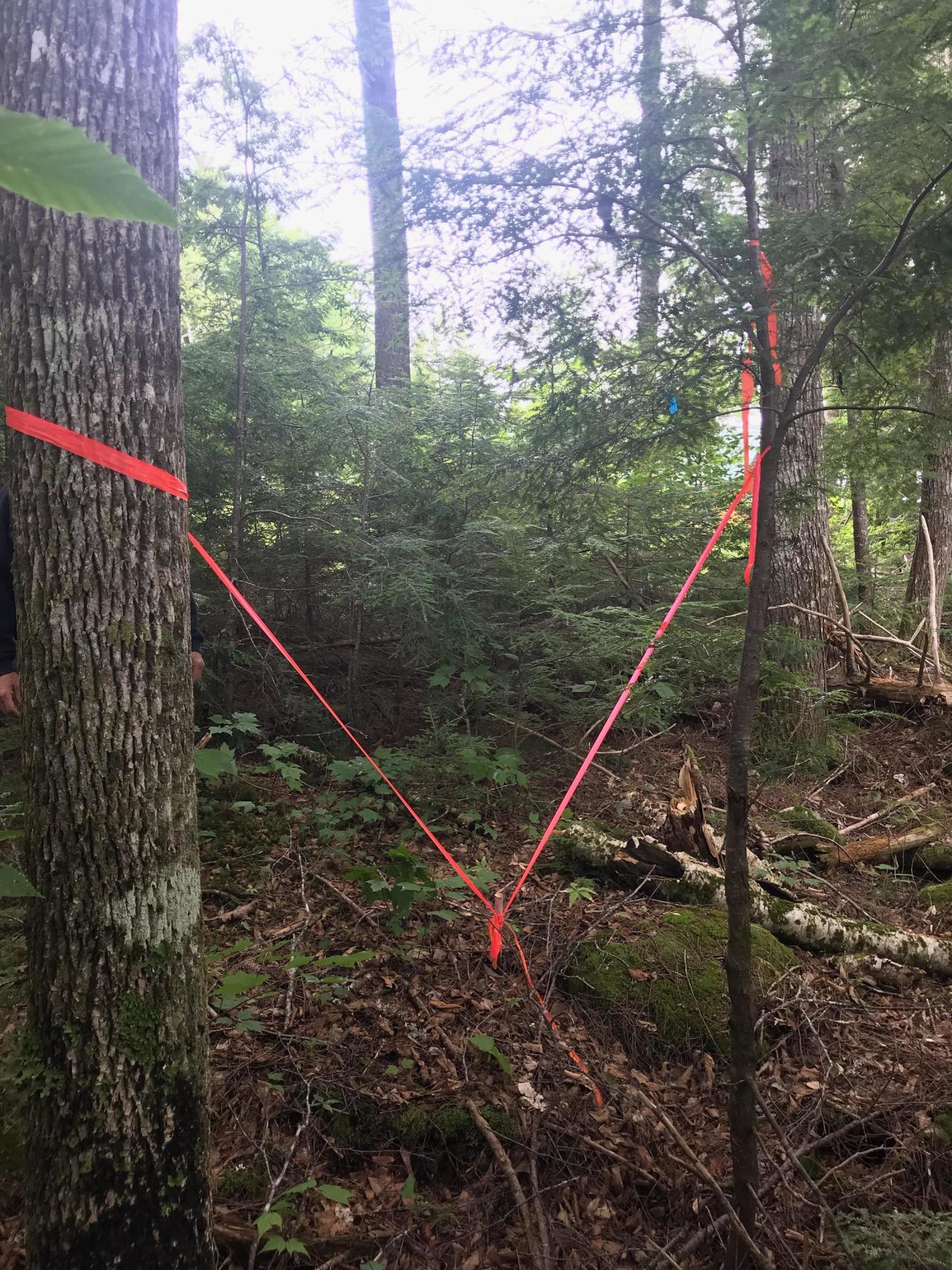 10 Map Bend Burlington, ME 04417 - Photo 15 of 22 IMG_6081