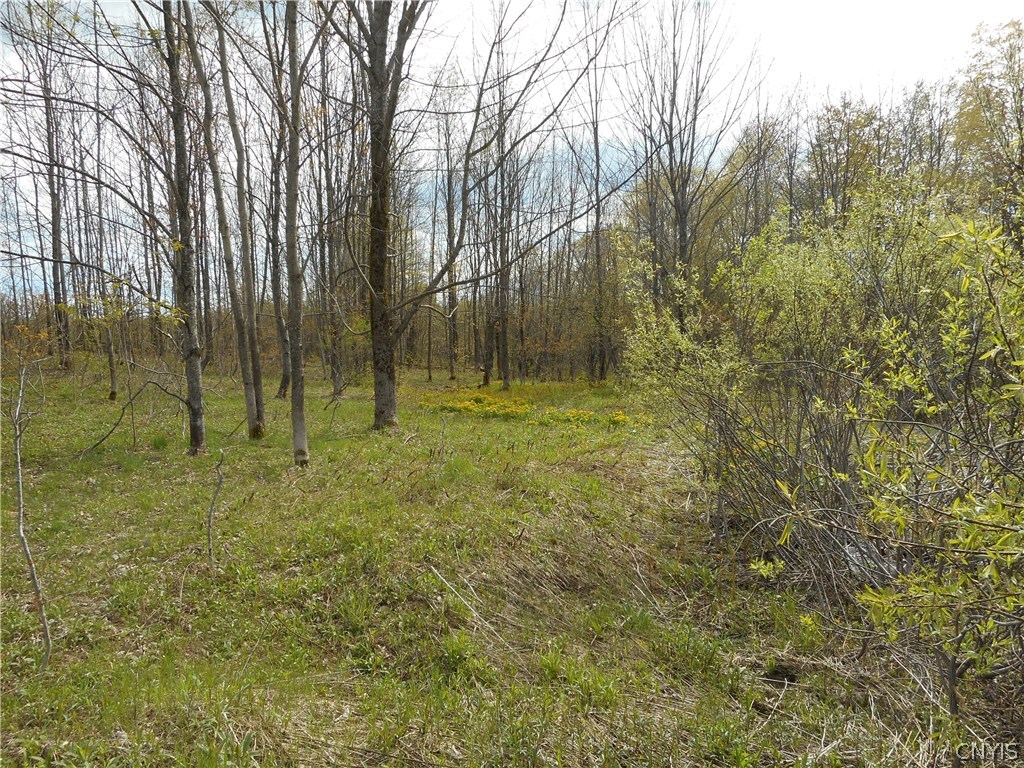 0 Kerber Road Ava, NY 13303 - Photo 9 of 24 Gallery Image 9
