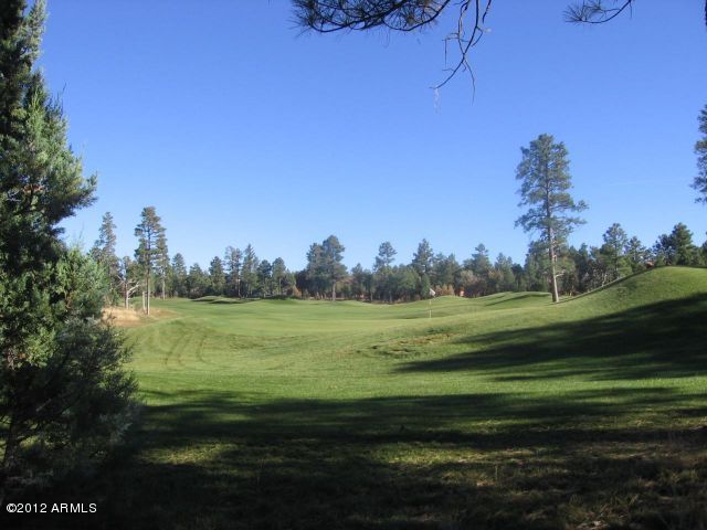 4281 West Hawthorn Road Show Low, AZ 85901 - Photo 13 of 14 Views down the #12 fairway