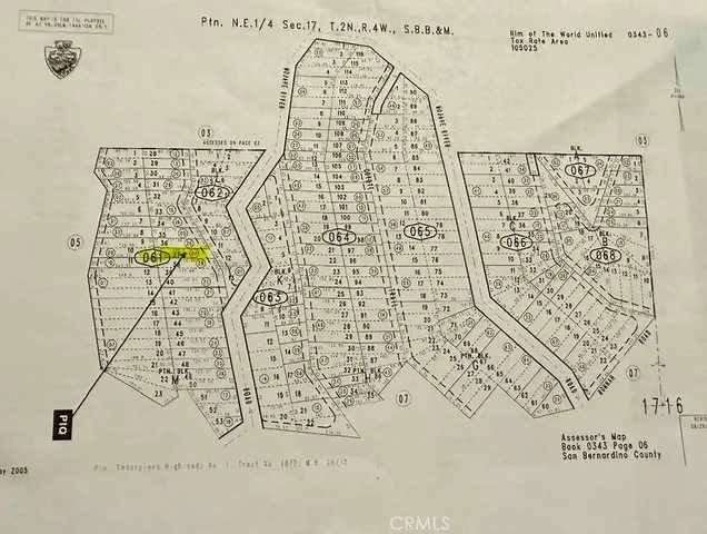 a view of a forest filled with trees