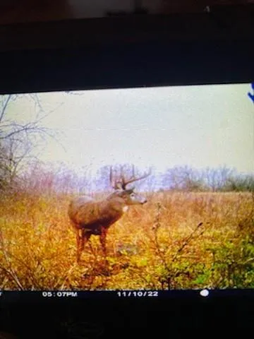 $550,000 | 1013 2400th Street, La Harpe, KS 66751