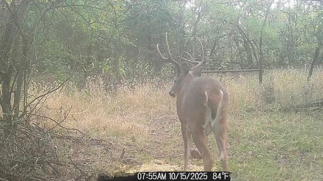 $550,000 | 1013 2400th Street, La Harpe, KS 66751