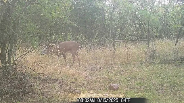 $550,000 | 1013 2400th Street, La Harpe, KS 66751