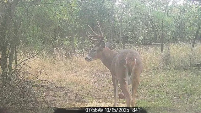 $550,000 | 1013 2400th Street, La Harpe, KS 66751