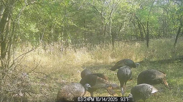 $550,000 | 1013 2400th Street, La Harpe, KS 66751