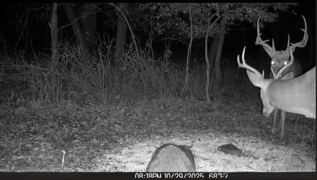 $550,000 | 1013 2400th Street, La Harpe, KS 66751