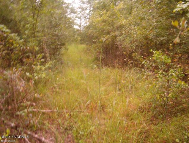 205 Hardesty Farm Road Newport, NC 28570 - Photo 4 of 5 Hardesty