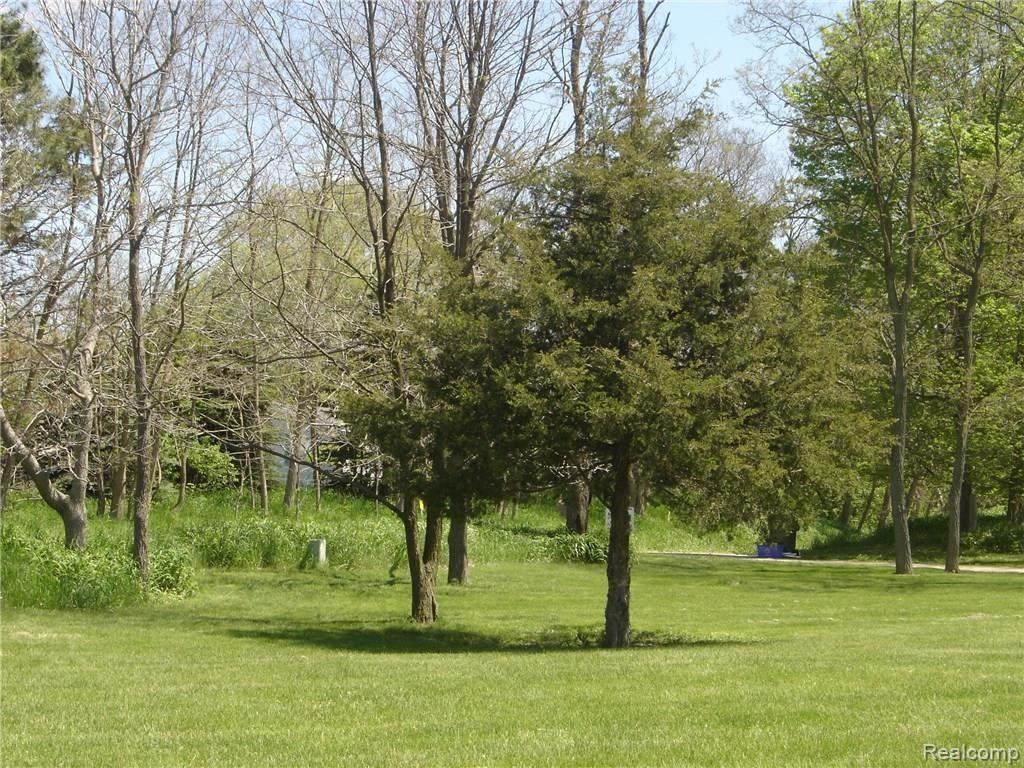 6722 Herbst Road Brighton, MI 48114 - Photo 7 of 20