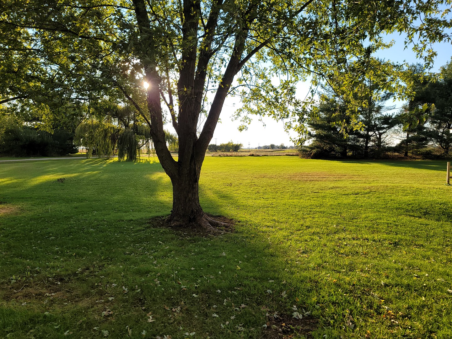25544 Gaulrapp Road Rock Falls, IL 61071 - Photo 18 of 18 a view of an ocean from a yard