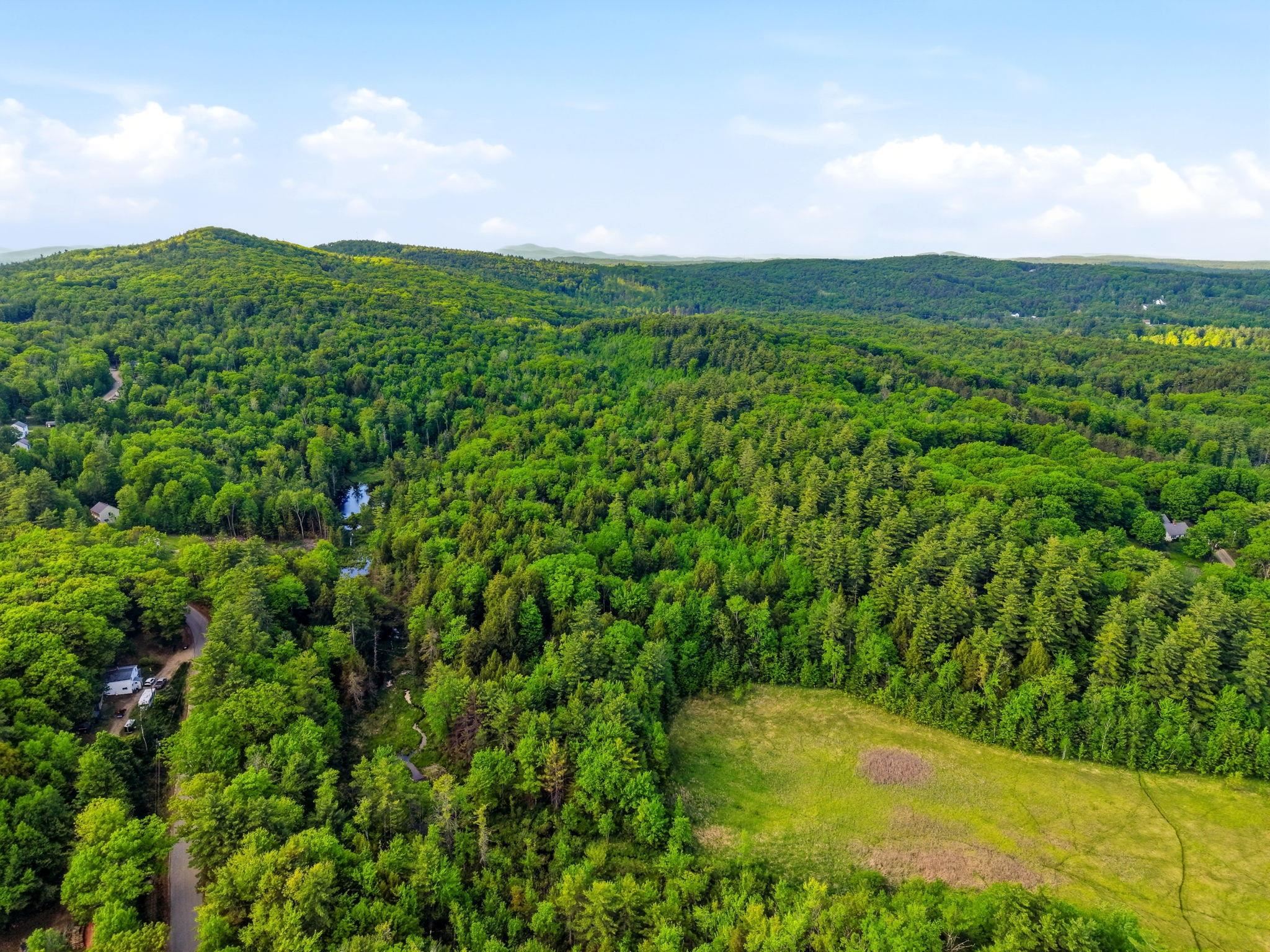 91 Wolf Hill Road Deering, NH 03244 - Photo 13 of 24