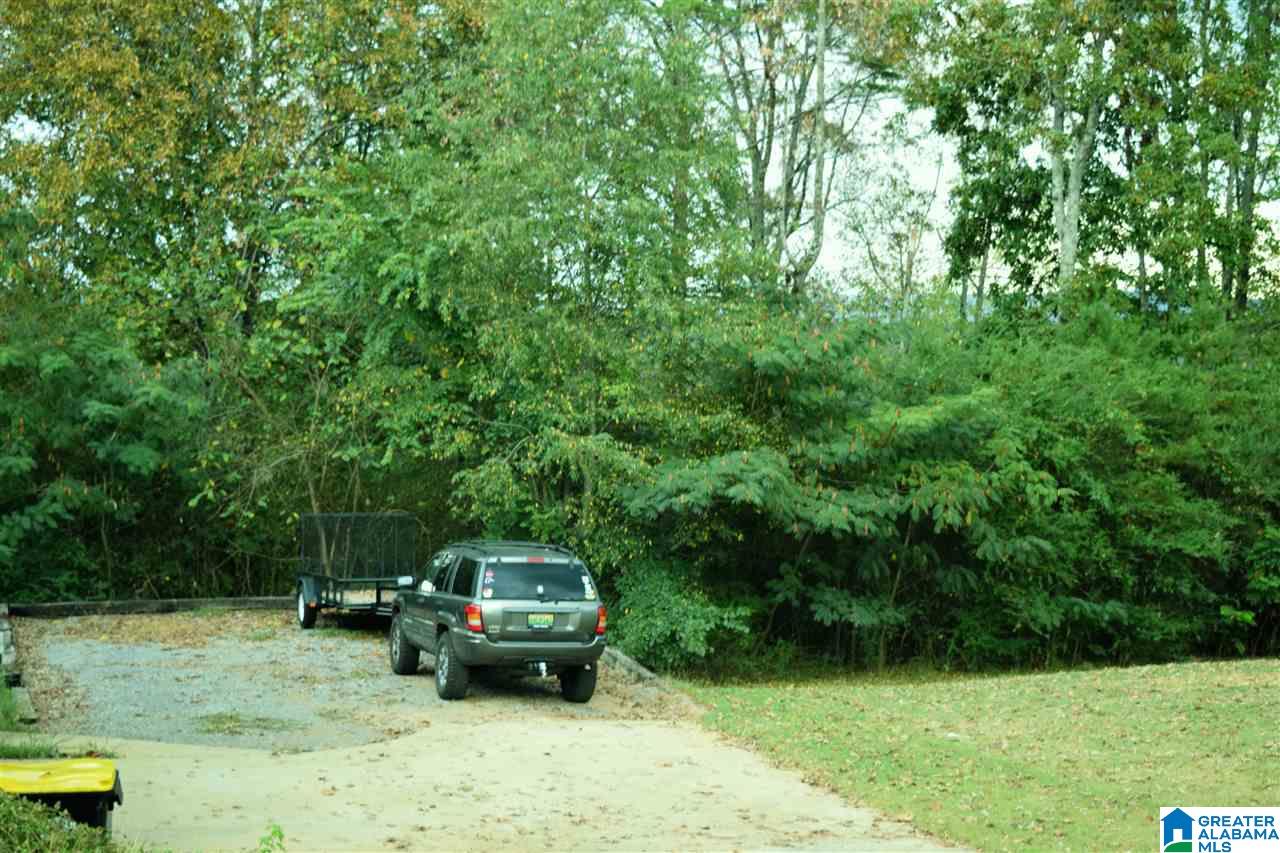 290 Levine Road Odenville, AL 35120 - Photo 17 of 22 Gallery Image 17