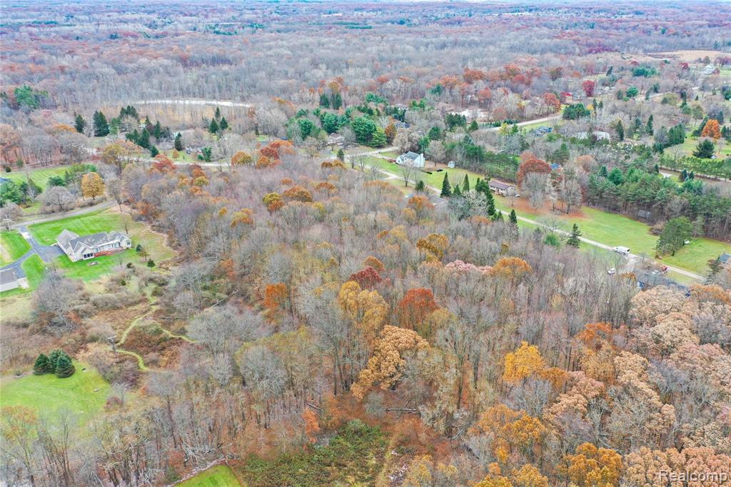 0 Newton Road Brighton, MI 48114 - Photo 4 of 20 Gallery Image 4