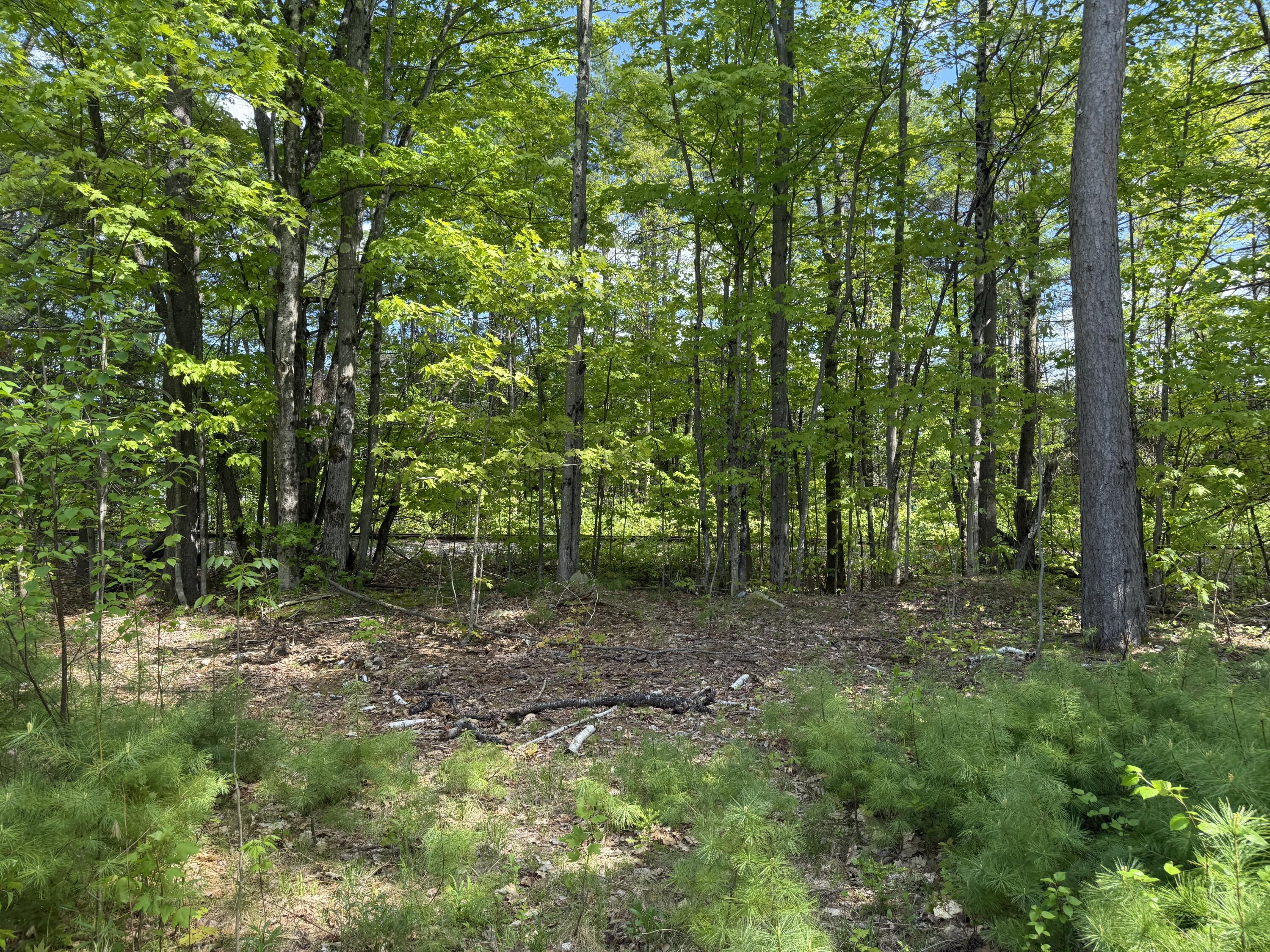 190 Barker Road Bethel, ME 04217 - Photo 7 of 11 IMG_3905