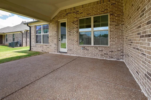 a view of backyard with a garden and plants