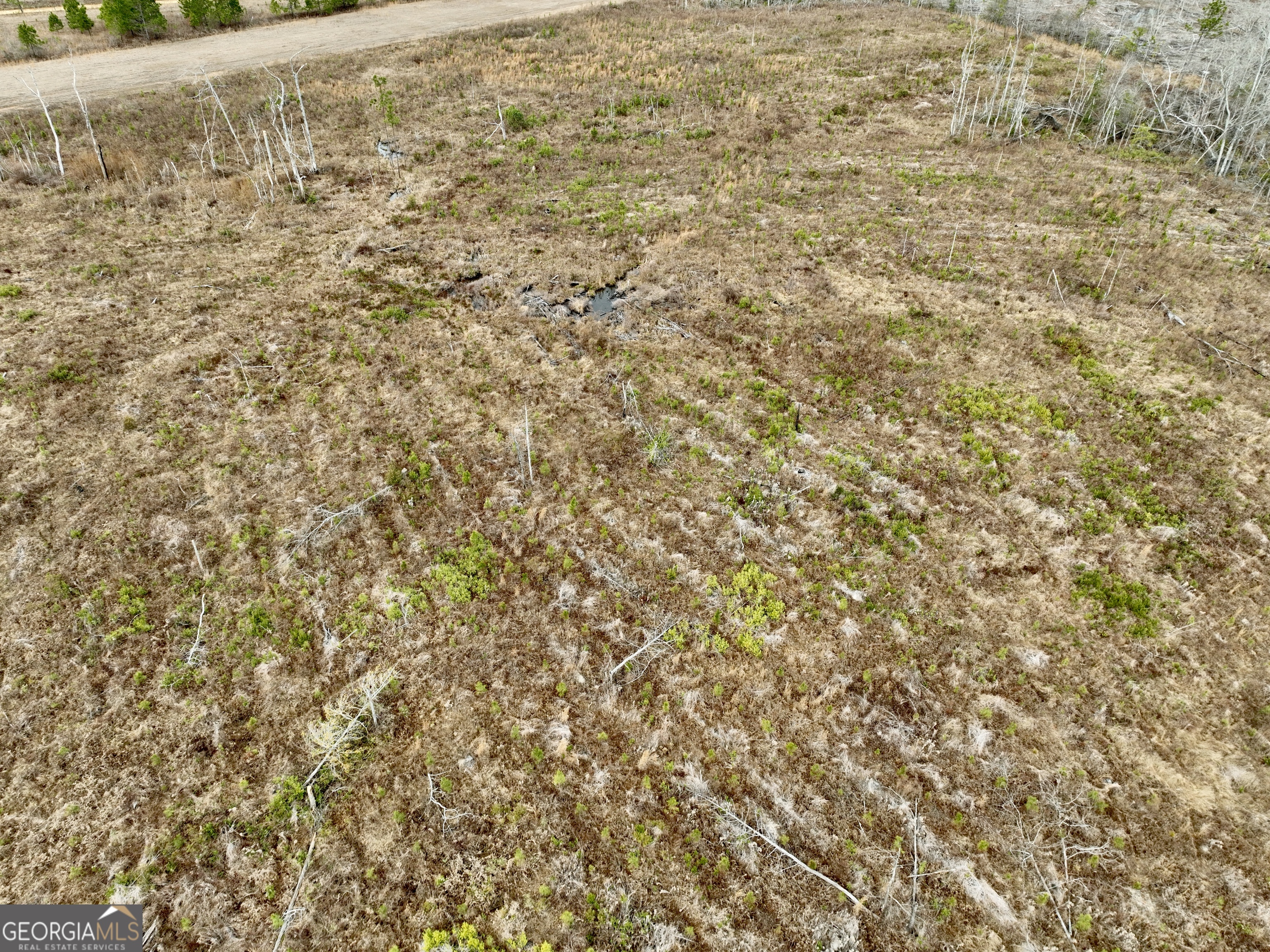 4281 Highway 46 Soperton, GA 30457 - Photo 66 of 85