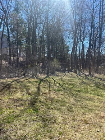 a view of outdoor space with trees