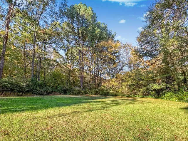 a view of yard with green space