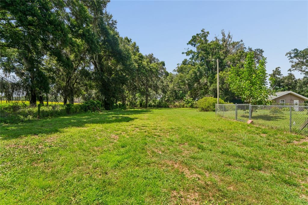6202 Stafford Road Plant City, FL 33565 - Photo 48 of 79