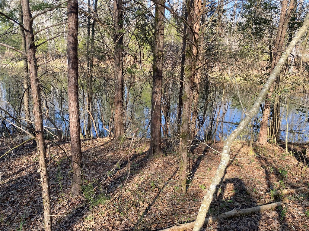 0 Abercrombie Road Honea Path, SC 29654 - Photo 14 of 18 This tranquil waterfront lot offers a serene natural setting, perfect for building your dream retreat.